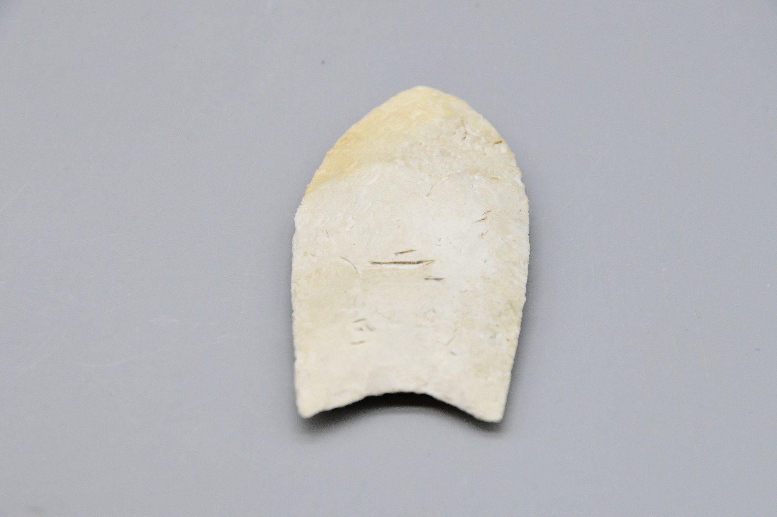 Clovis Point White Mint Condition 3" Long 1.5" Wide Brown County, Illinois