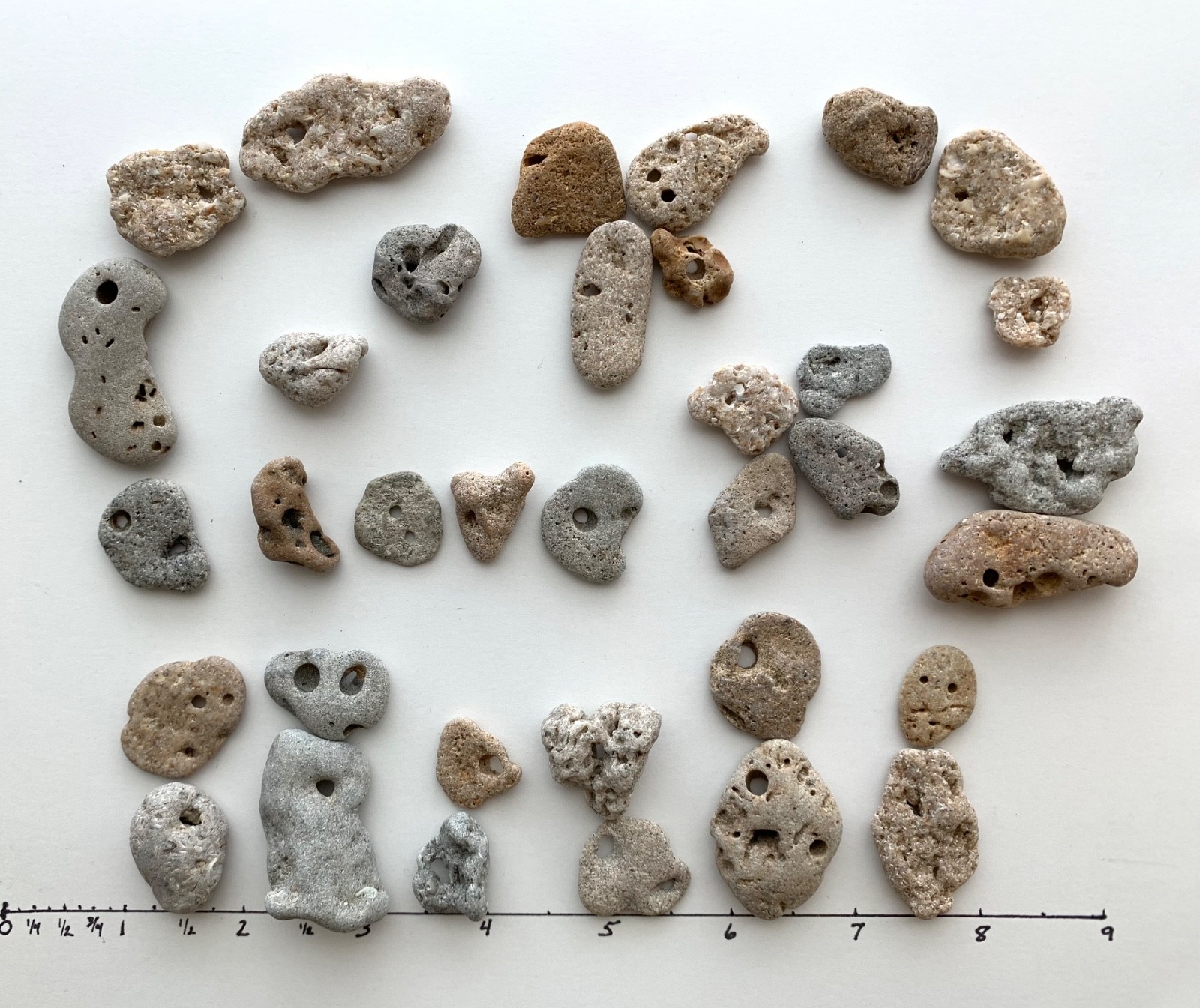 35 Adder Holey Beach Rocks Hag Stones Fairy Lucky Wish Magic Natural 1" #B1 US❤️