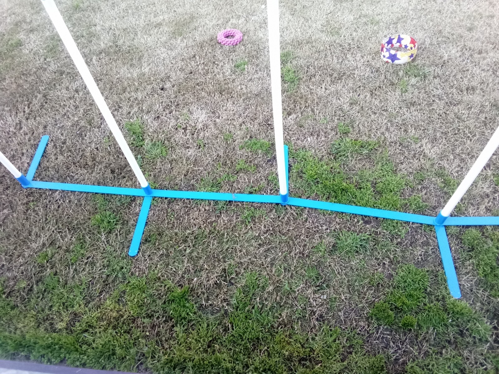 Dog Agility Weave Set 10ft Long 6 Poles 2 Ft Between Each Pole, 3 Ft Tall