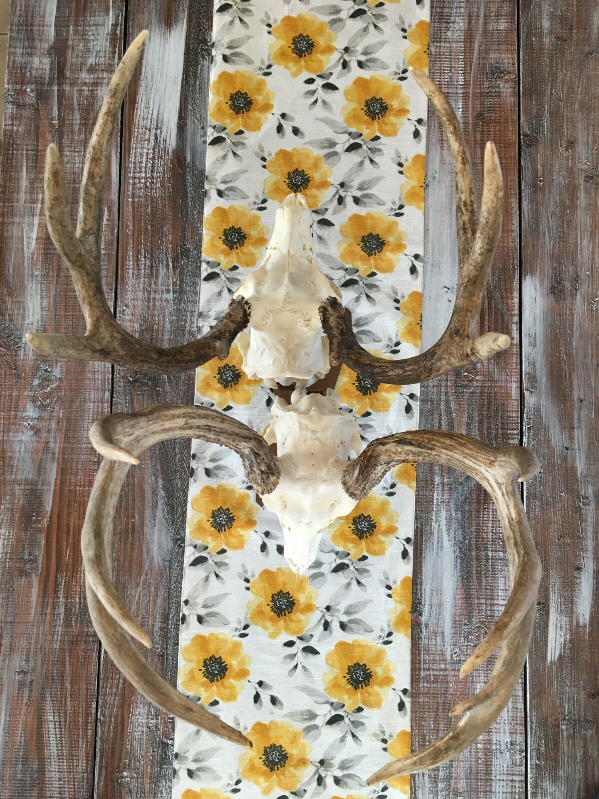 Amazeen Outdoors Double Table Top Mount European Skull Hanger Deer Hook Metal