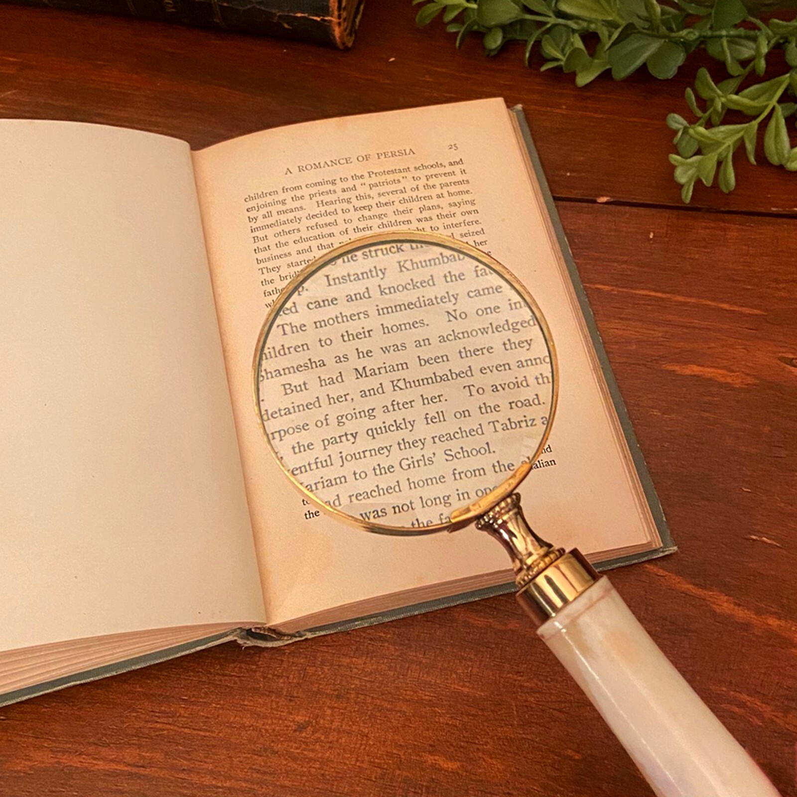 8" Brass Magnifier with White Bone Handle- Antique Vintage Style