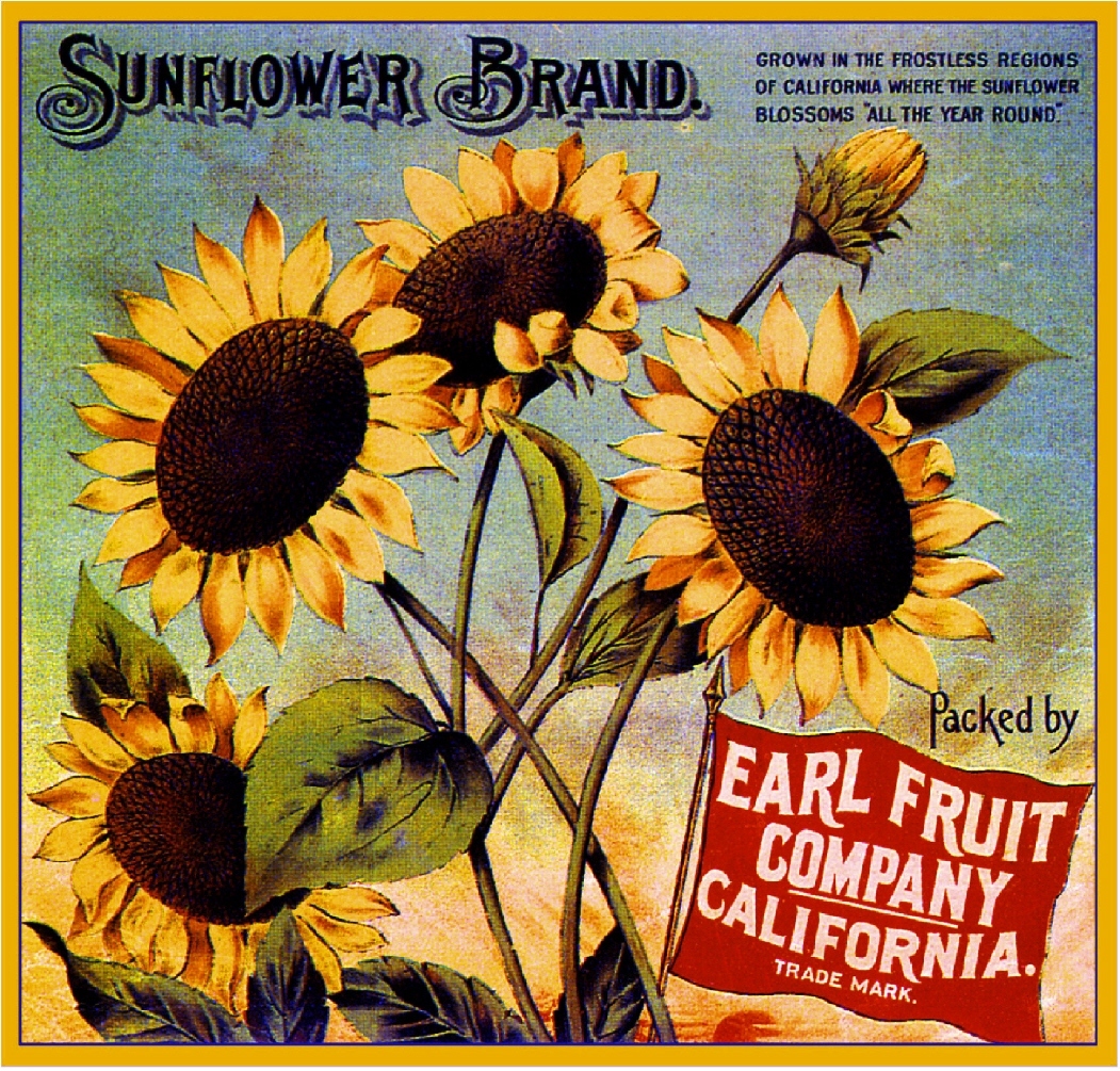 Los Angeles Sunflower Flowers Orange Citrus Fruit Crate Label Art Print