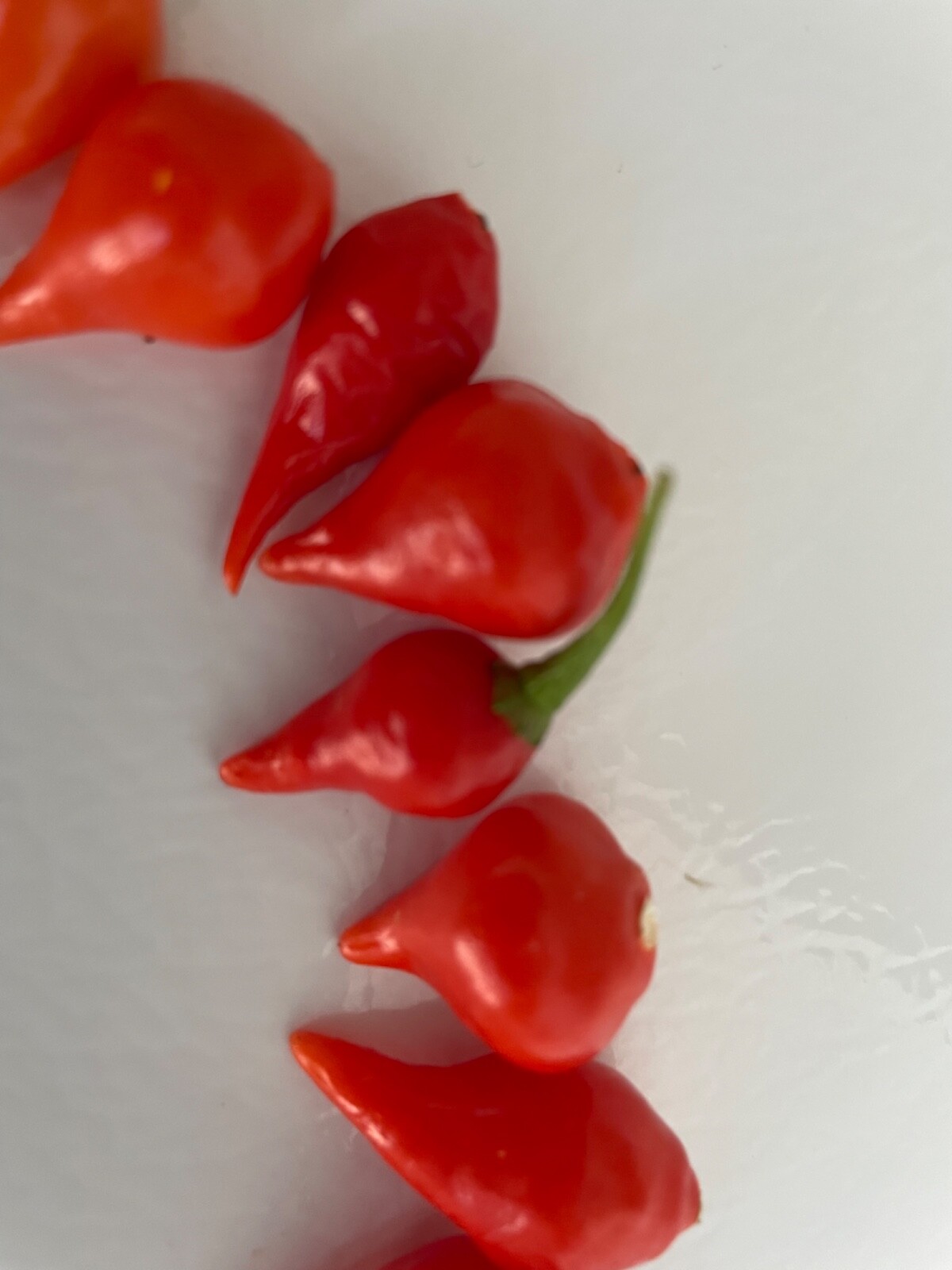 30+ Red Biquinho Pepper Seeds Brazilian Heirloom