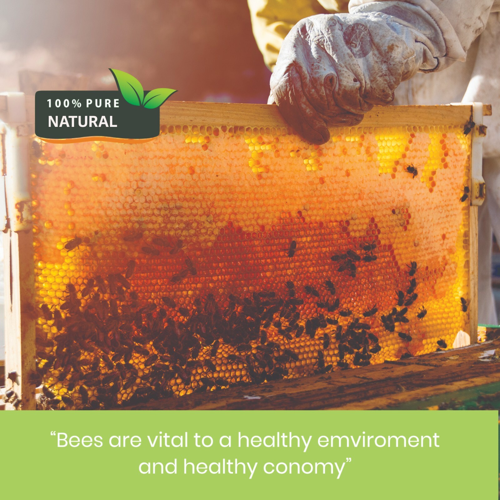 WHITE BEESWAX PASTILLES BEES WAX PURE NATURAL BEARDS PREMIUM 2 OZ