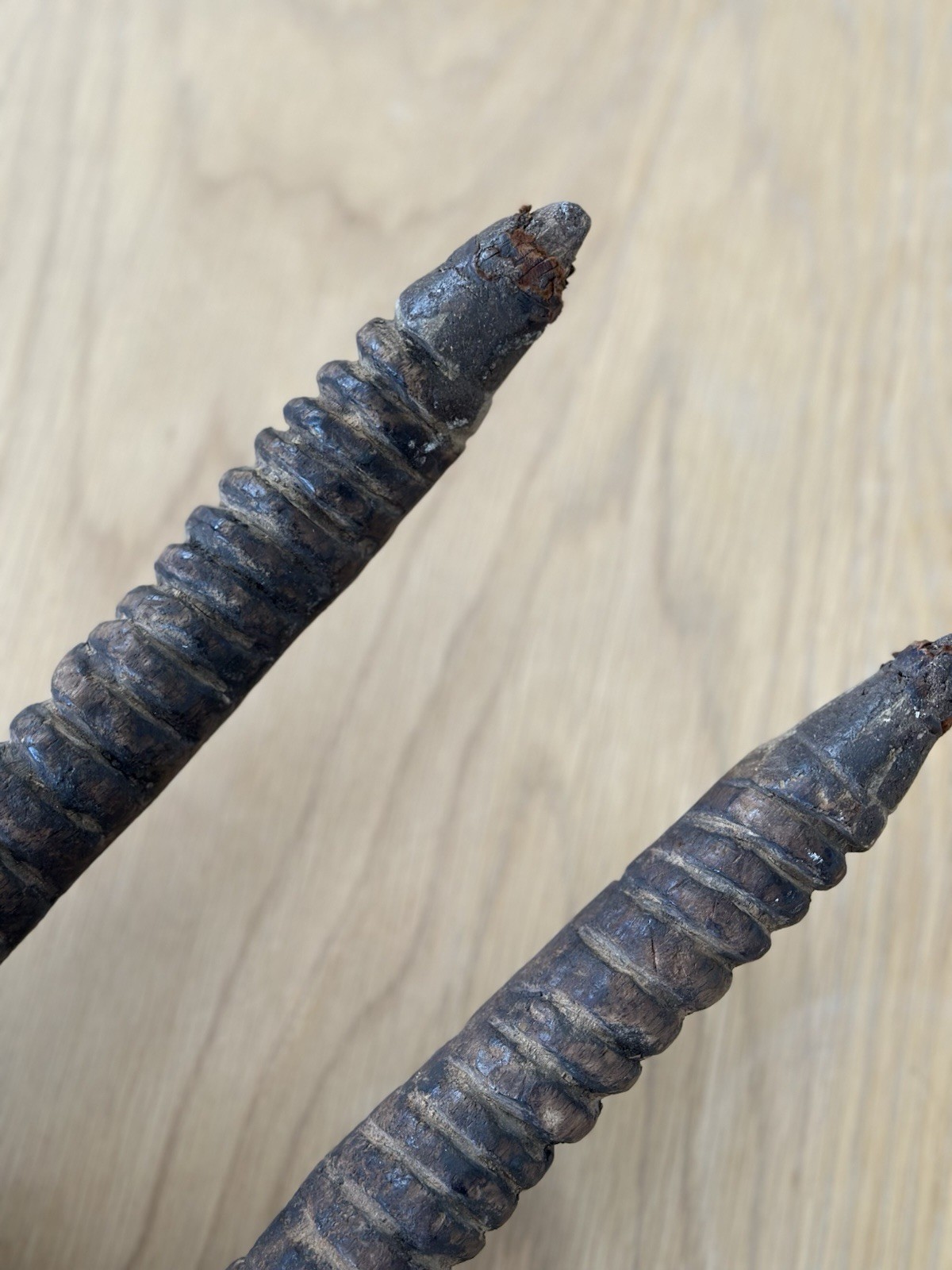 Antique African Antelope Mask Hand Carved Wooden Tribal Art Early 20th Century