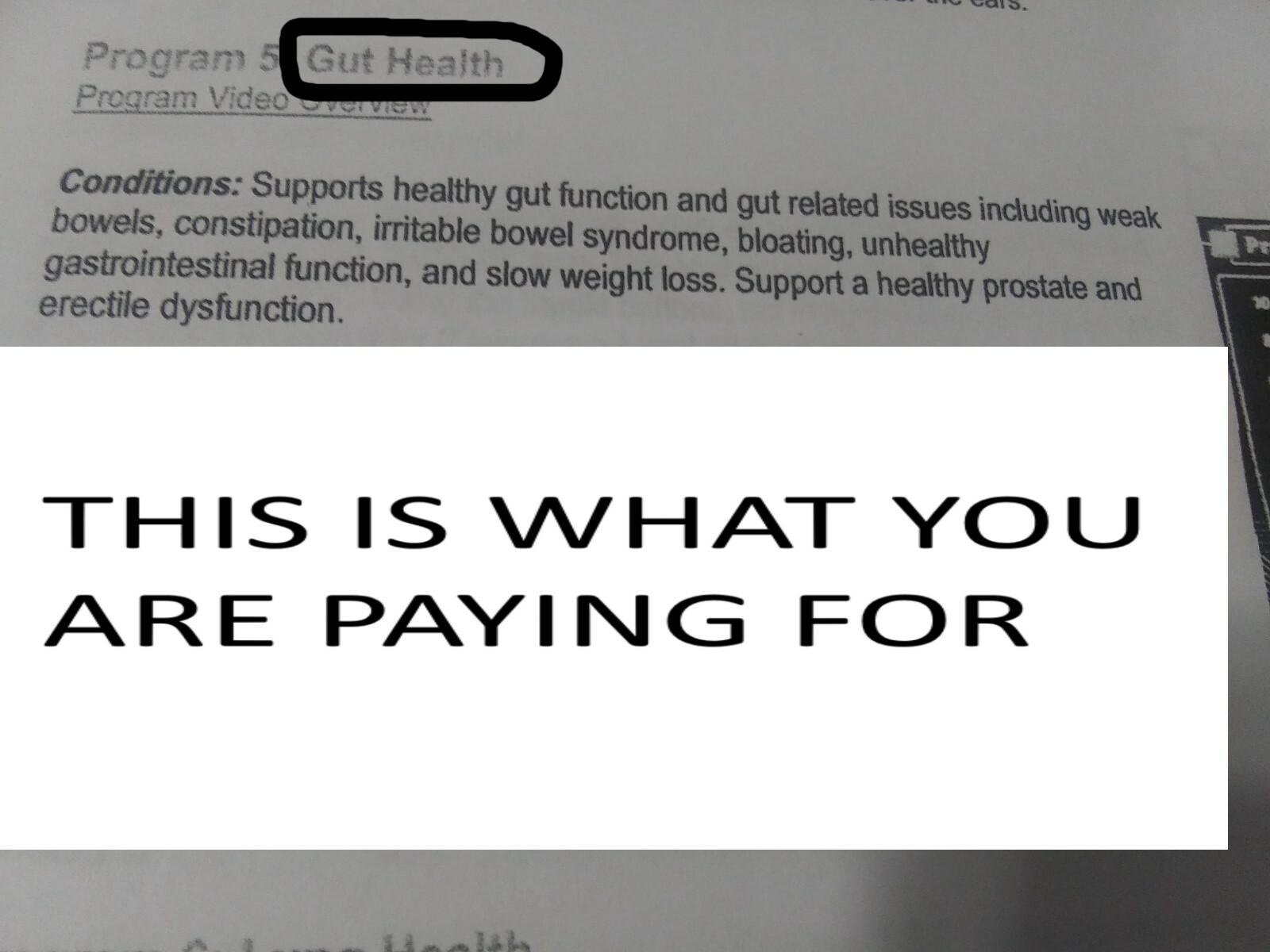 RARE BRAND NEW- PRO BEMER SET PROTOCOLS AND NOTES NOTEBOOK FROM SPECIAL SEMINARY