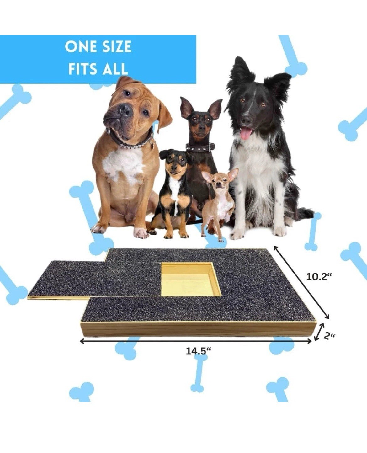 Deluxe Dog Scratch Pad Bundle with Snack Compartment