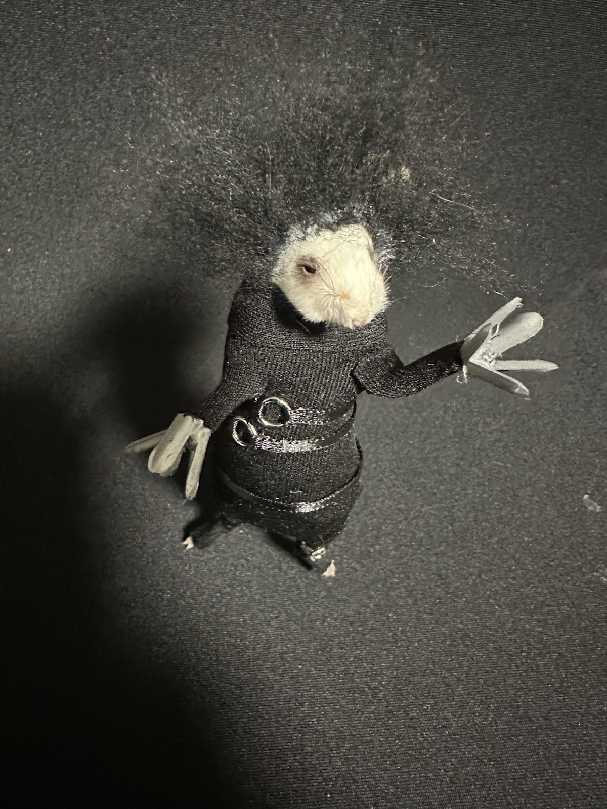 Taxidermy Mouse Edward Scissorhands Mouse Oddities Curiosities Taxidermy Art