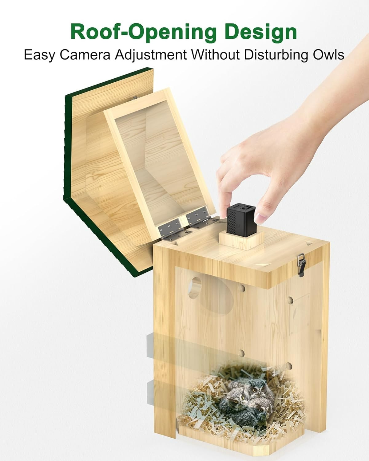 2K Owl Nesting Box Pine Wood 4G LTE Camera, Solar, Night Vision