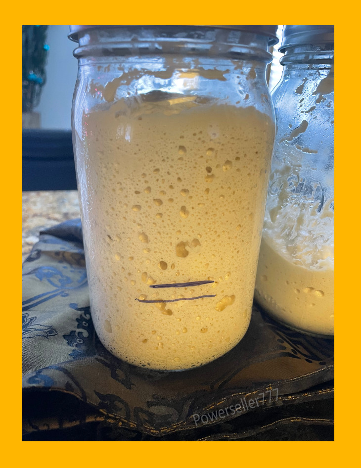 ORGANIC Sourdough Bread Starter San Francisco - Live 200yrs Old BEST SELLER!