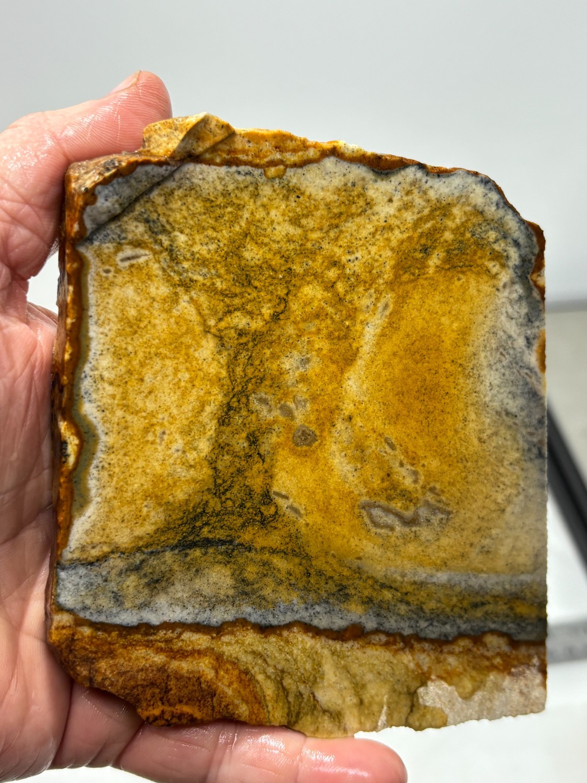 Disaster Peak Picture Jasper Slab Cabbing Lapidary Collecting Combo Ship Avail