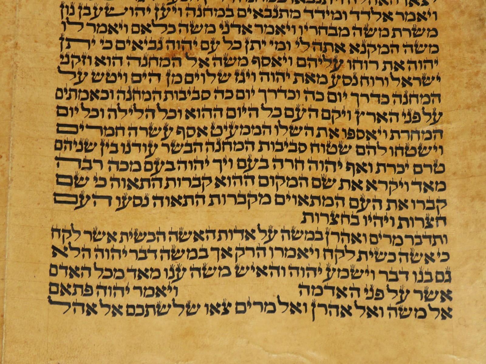 LARGE RARE TORAH BIBLE MANUSCRIPT VELLUM LEAF 150-200 YRS OLD FROM ITALY