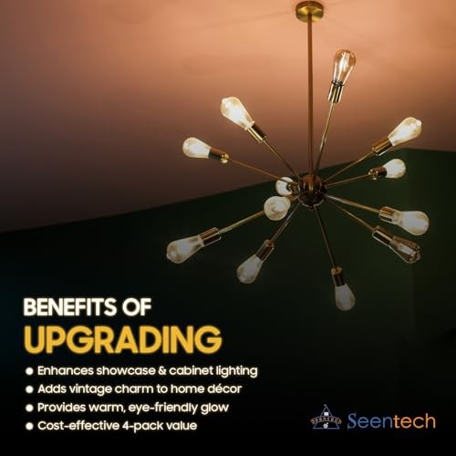 25W T10 Clear Tubular Incandescent Bulbs, Vintage Antique Style Showcase