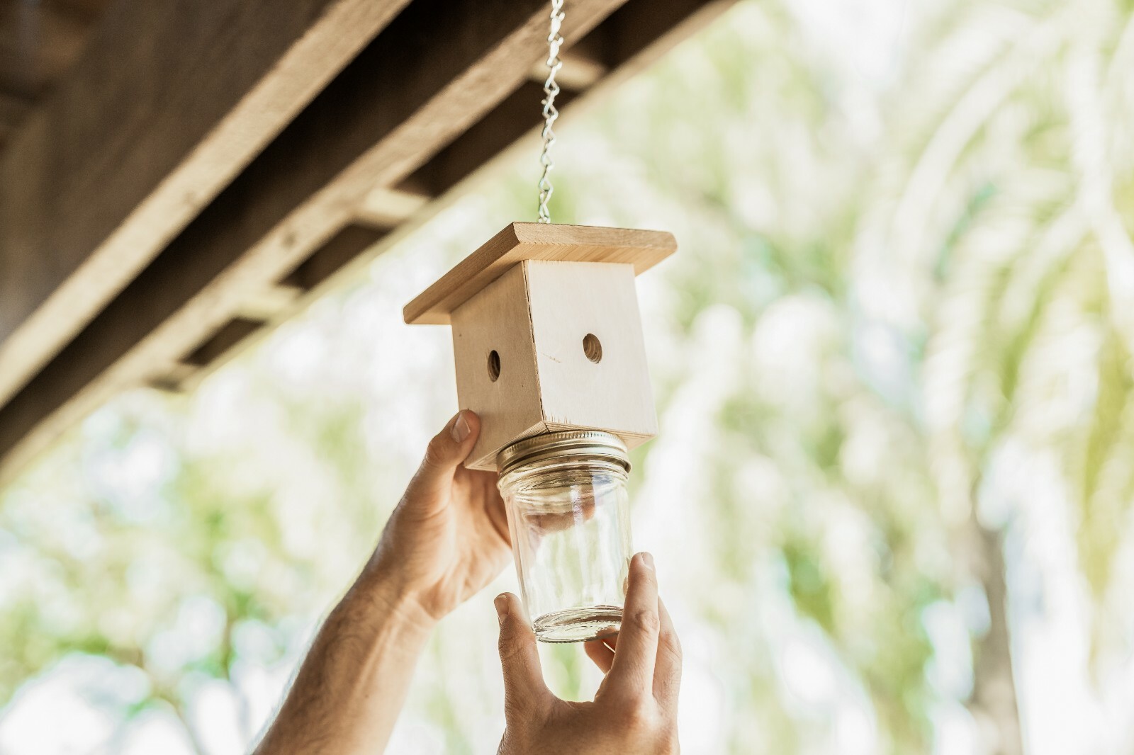 Donaldson Farms Carpenter Bee Trap Lure Attractant All Natural