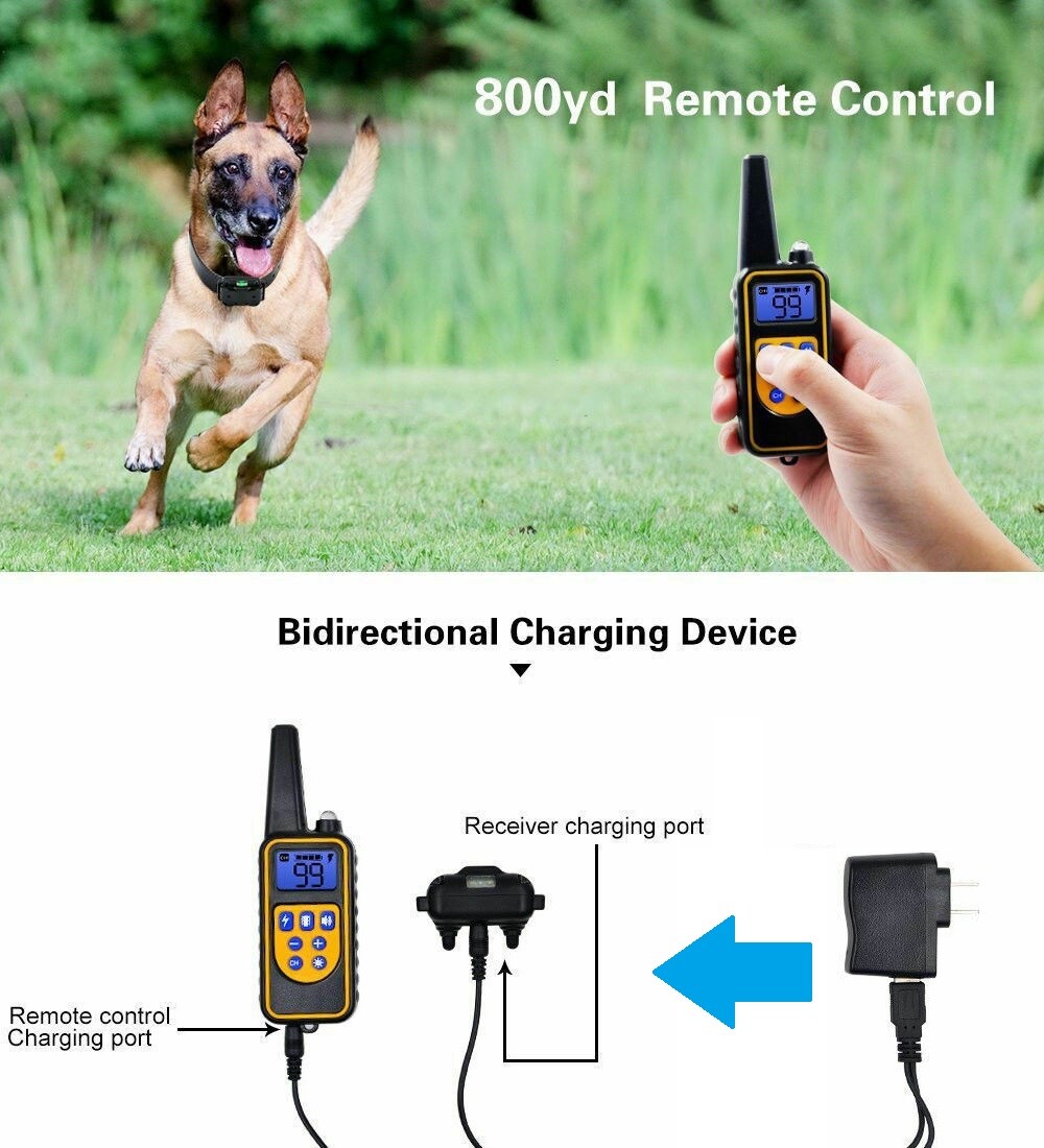 Waterproof Dog Training Electric Collar Rechargeable Remote Control 875 Yards US