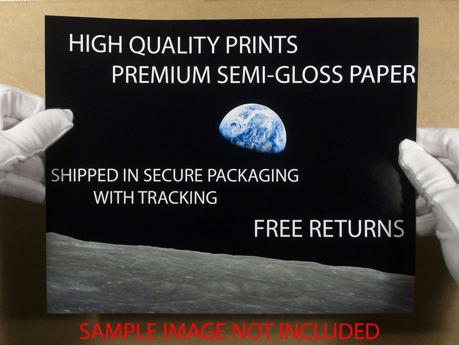 Bighorn Sheep Ram 8"x10" Photograph Print 8x10 #2