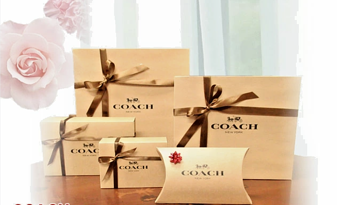 🎁BN Coach Brown Paper Shopping Bags~Gift Bags~Gift Boxes~Sticker Pick Size 🎁