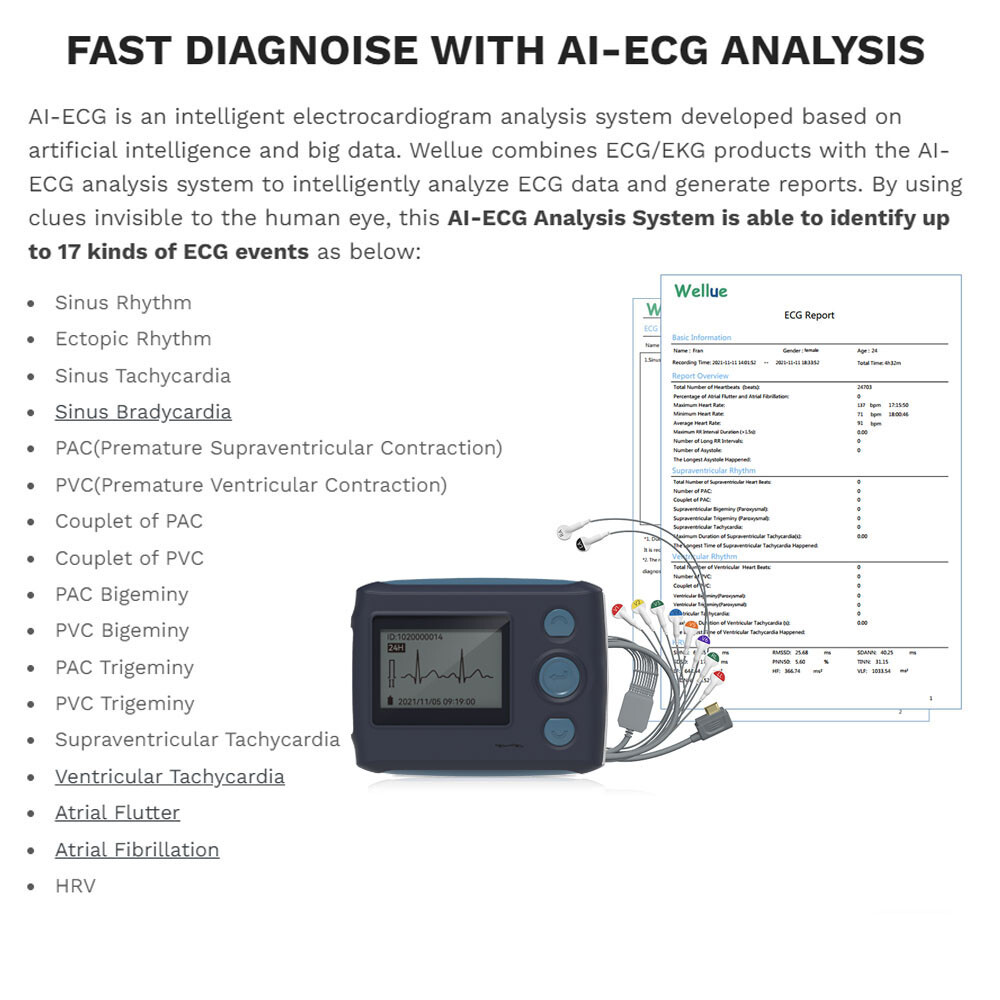 12 lead Holter Monitor 24h Portable with AI analysis software for Mac & Windows