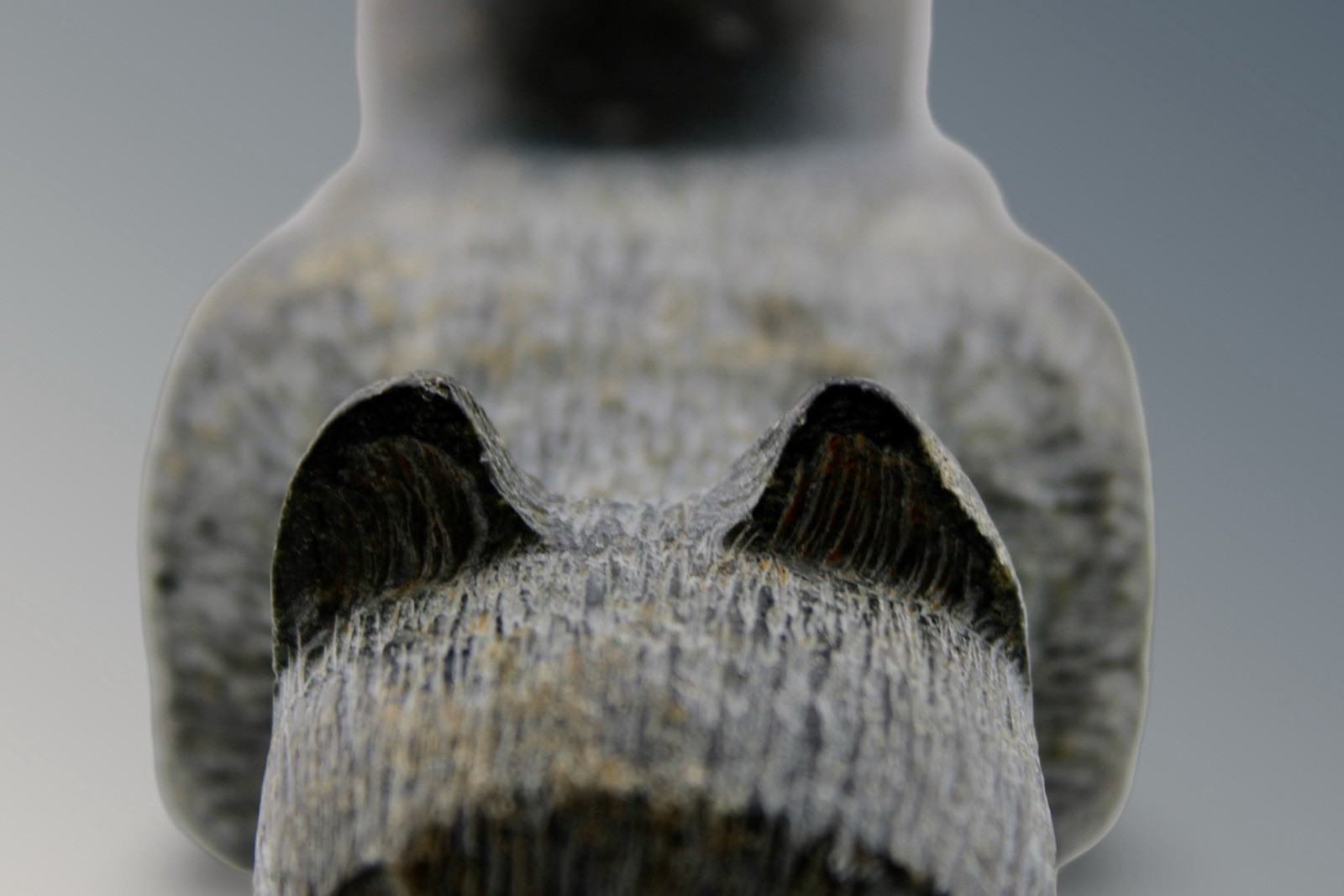 Cherokee Council Bear Effigy Pipe Late 19th Century NC High Rock 13” Long