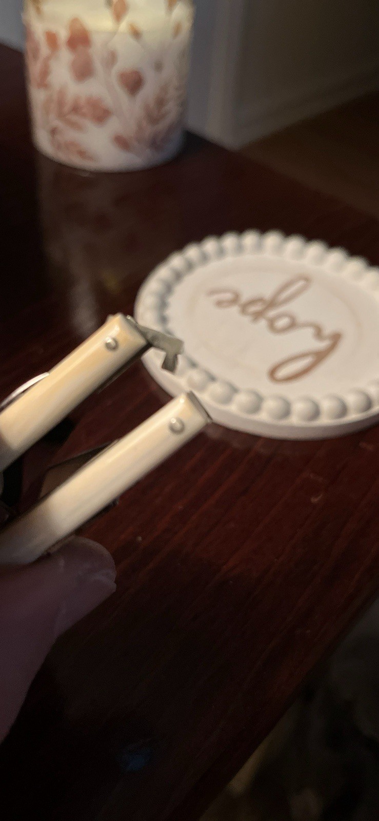 E. ZINN Germany Small Multi Tool Pearl Handles Original Packaging Early 1900’s