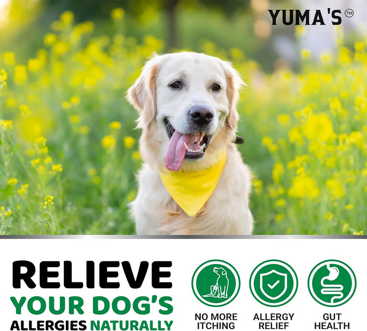 YUMA'S Dog Allergy Relief Chews Dog Itching Skin Relief Treatment Pills 170