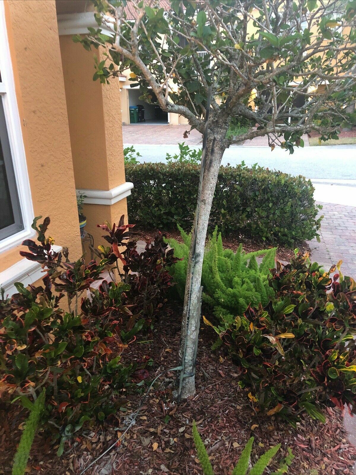 2meter/70cm J pole Dual Band Collapsible Copper J-Pole Antenna FREE SHIPPING