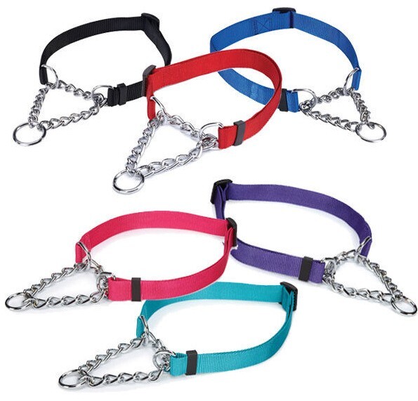 Guardian Gear Dog Martingale Chain Nylon Collar  Adjustable Small Medium Large