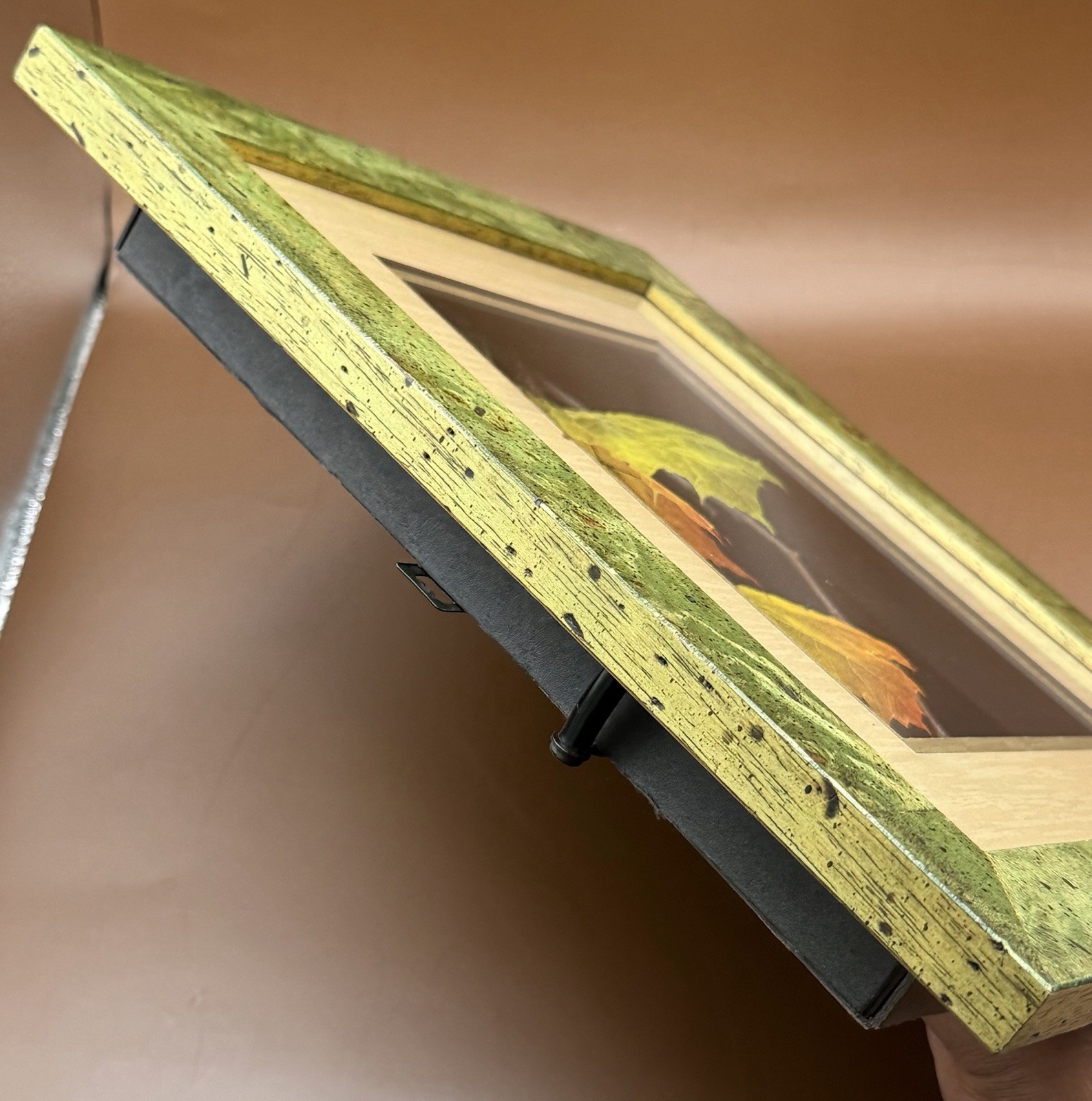 Booker Morey – Leaf Lines Maple Leaf Shadowbox #5/5759 Framed Botanical Skeleton