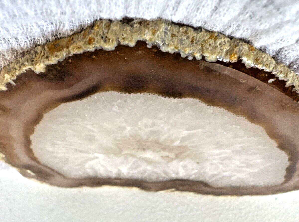 Beautiful Earth Tone Geode Slice Polished Natural Geode Mineral Rock Stone 5” W