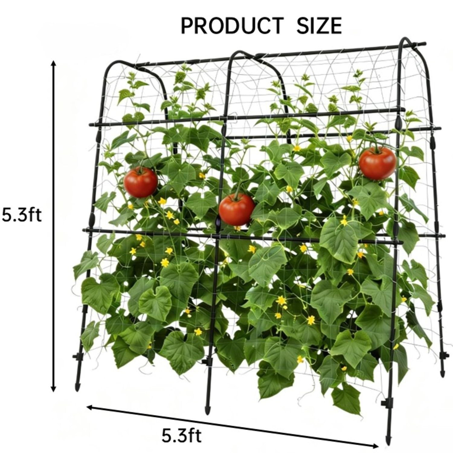 U-Shape Garden Arch Trellis for Climbing Plants Outdoor, Metal Plant Support