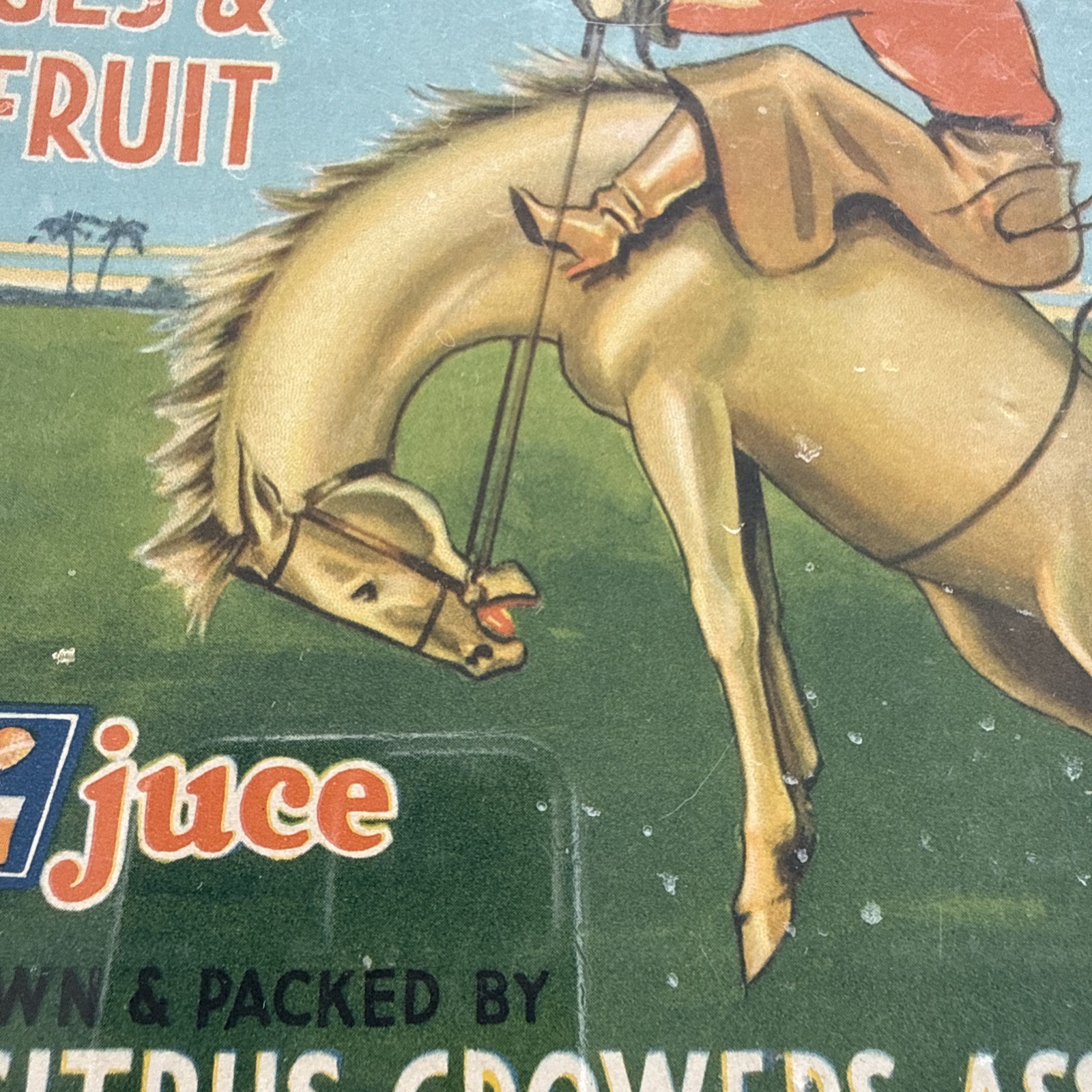 Original Vintage Florida Cowboy Citrus Crate Label Kissimmee Growers Horse Art