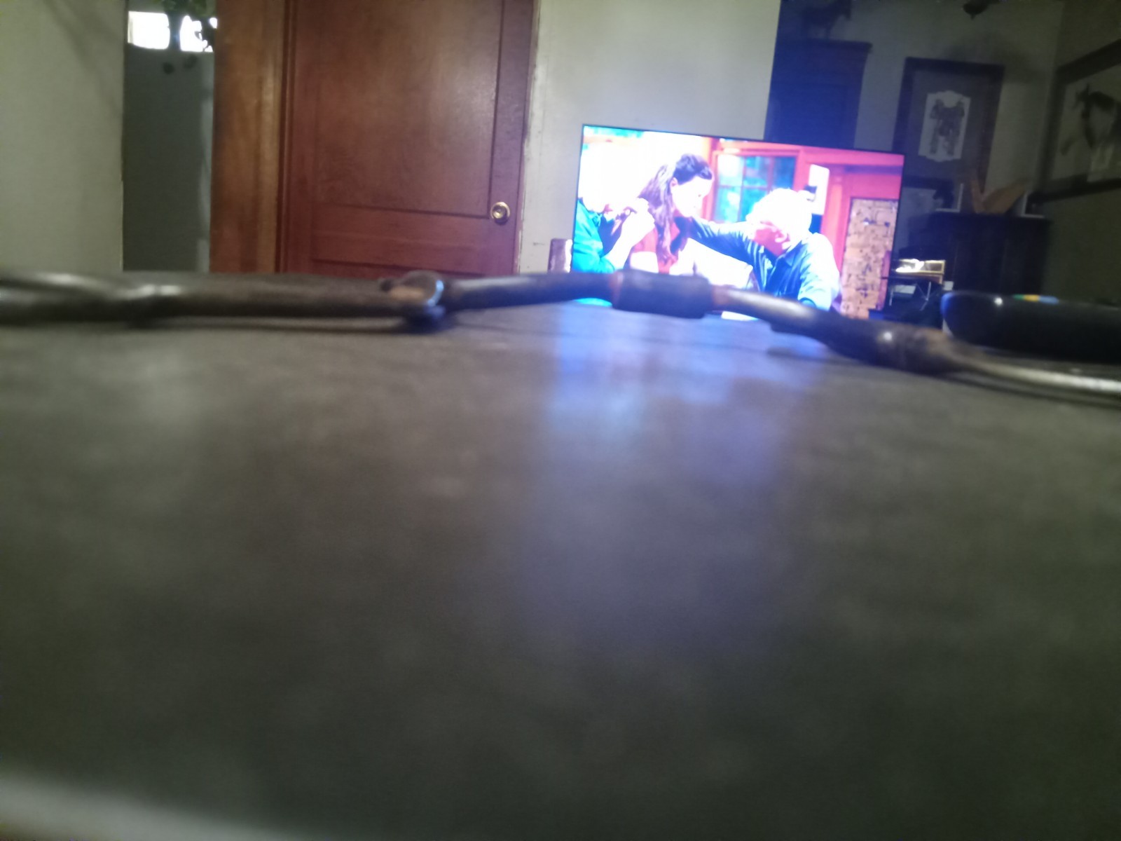 reining roping sweet iron bit 5 in comfort mouth barrel flat cheek