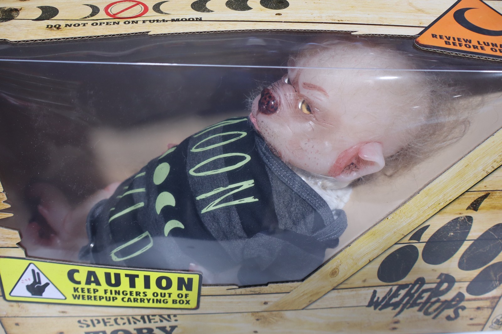 Trick or Treat Studios Werepup Toby Prop Werewolf