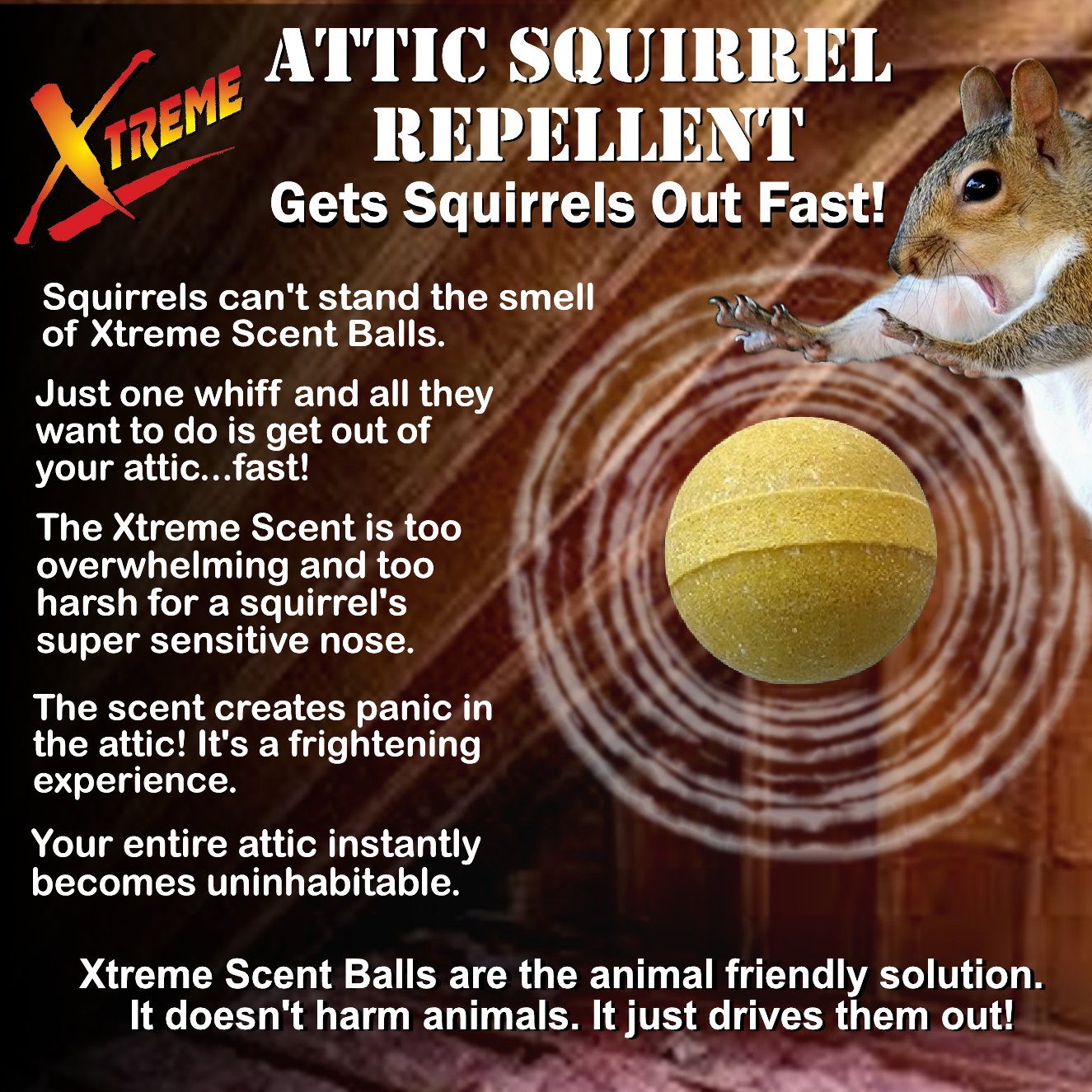 Xtreme Attic Squirrel Repellent. Drives Squirrels Out Fast! 5 Pack