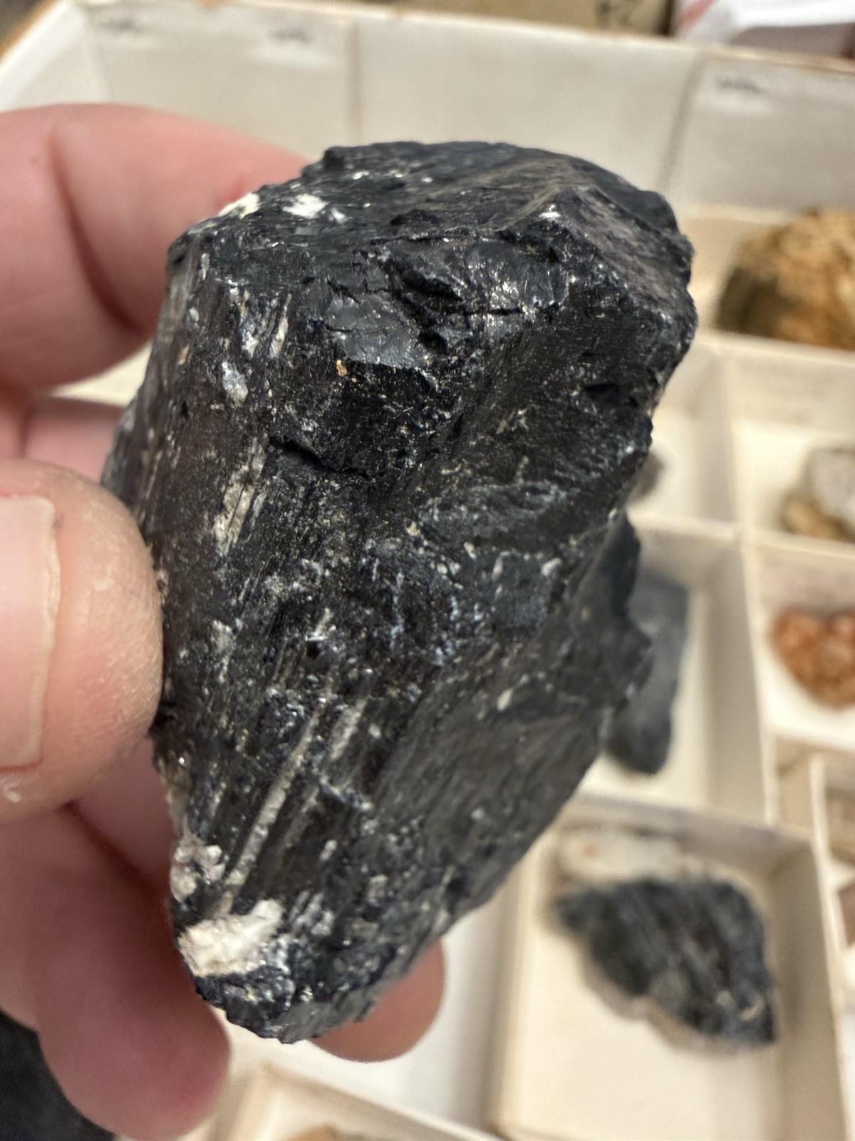 over 20 tourmaline specimens pala chief mine ca little three