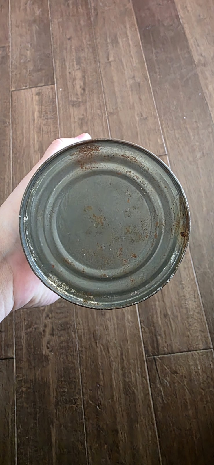 Vintage Wilson Championship Tennis Balls Can Extra Duty Felt USA (B)