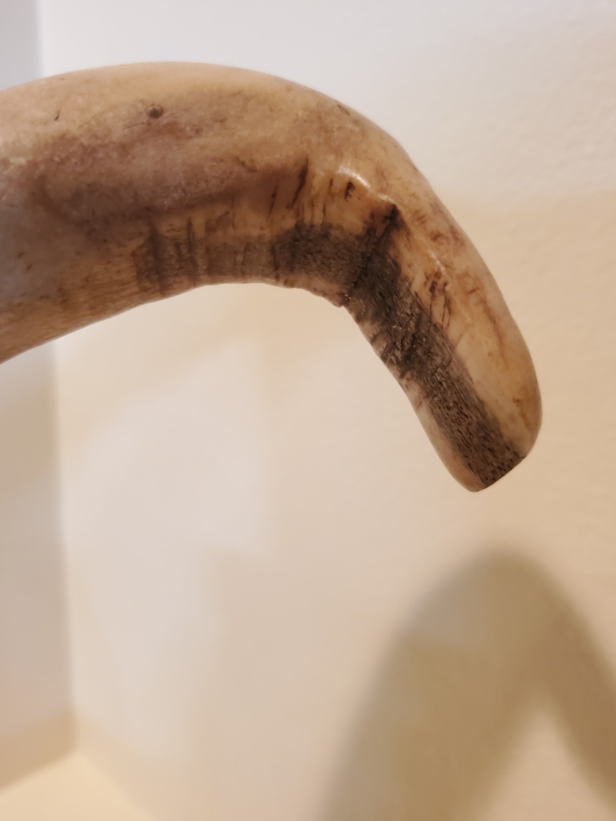 Antique OLD Native American Indian plains hide scraper 1840s 19th c.