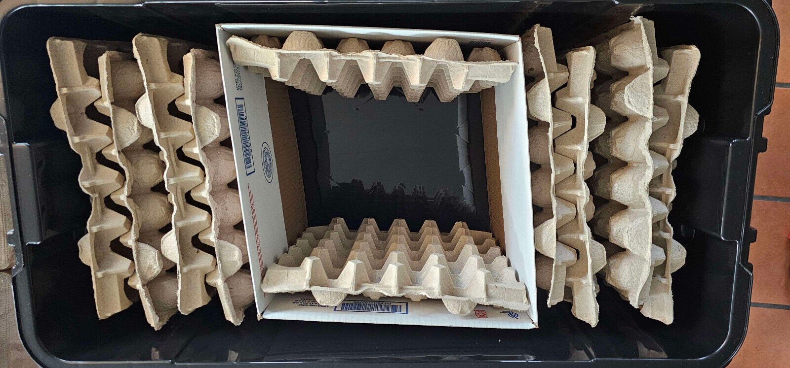 XXL Heated insect breeder box+Dubia Colony 100F/40M+1000 Small & Cleaner Crew