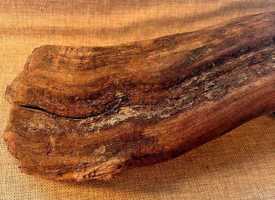 18" x 5" Redwood Driftwood Organic Craft Aquarium Rustic Boho Natural Wood
