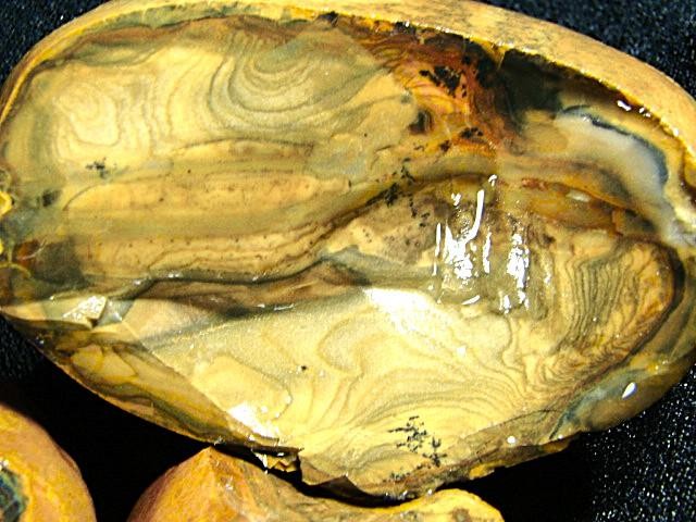 Royal Sahara Jasper® 4 Pc. Rough Nodules 2.0 Lb. ~TOP GRADE~ # K