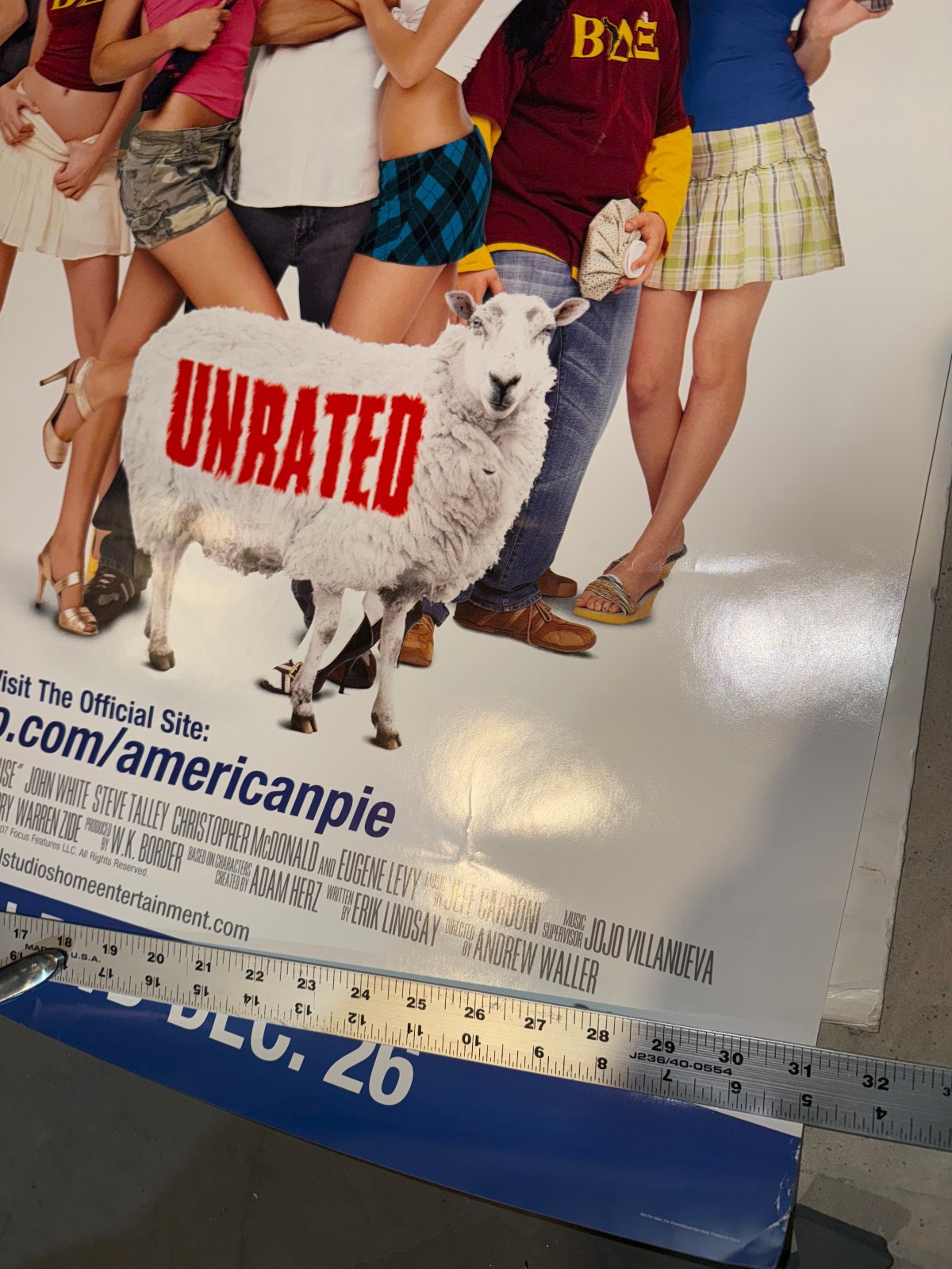 American Pie 2007 Beta House original movie dvd poster 5/10