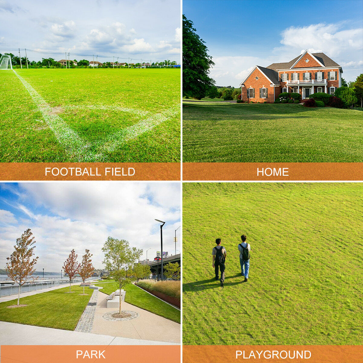 Costway 12 Amp 14-Inch Electric Push Lawn Corded Mower With Grass Bag Green