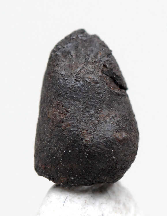 CHELYABINSK Meteorite Specimen Stone Chondrite RUSSIA w/ Case & ID Card