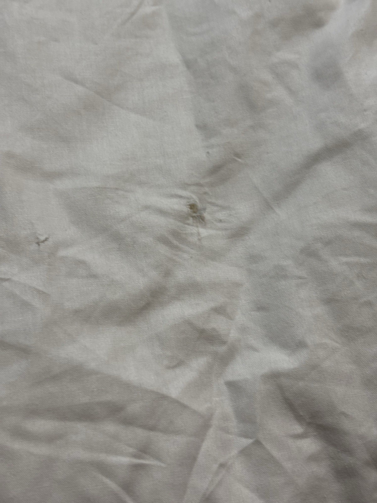 Westin Down Duvet Insert ~ Queen ( 90” x 94”) ~ READ