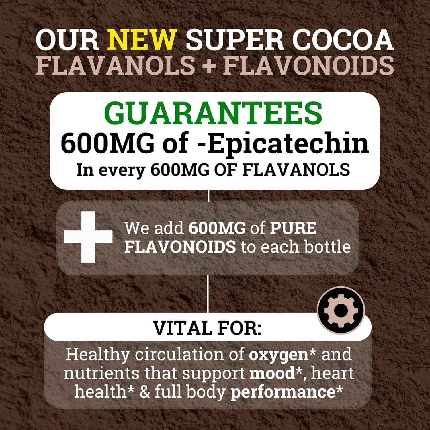 Supercharged Cocoa Flavanols + Flavonoids 1200MG Free Shipping US