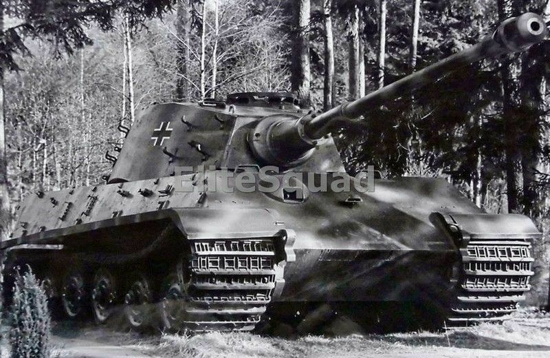 WW2 Picture Photo German Tank Panzerkampfwagen VI Tiger II 812