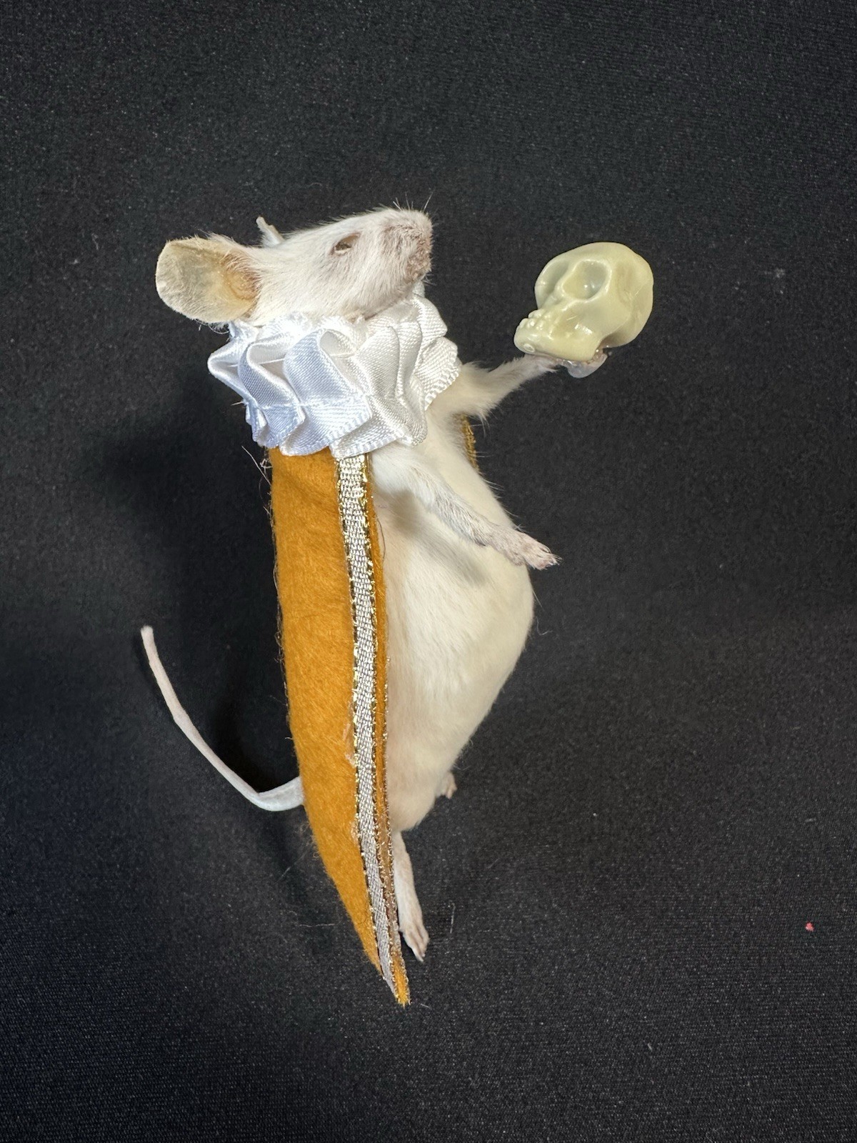 Taxidermy Mouse Hamlet Mouse Oddities Curiosities Taxidermy Art
