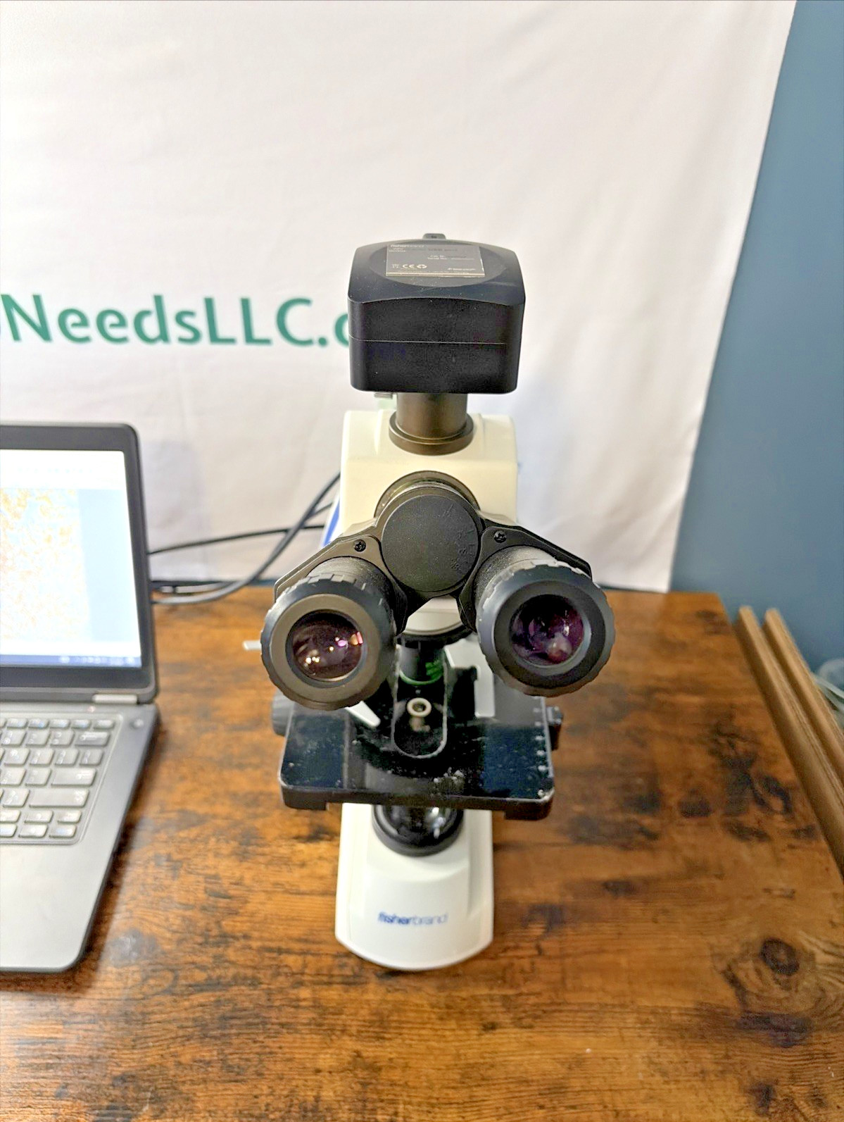 Fisherbrand Research Upright Microscope, (4) OBJECTIVE LENSES, 10MP camera