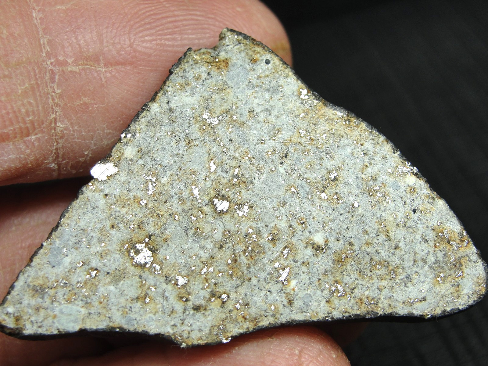 Ghadamis - HAH-346 - Libya 2019 - GAD-0384 - 13.49g - COA - Fusion Crust End Cut