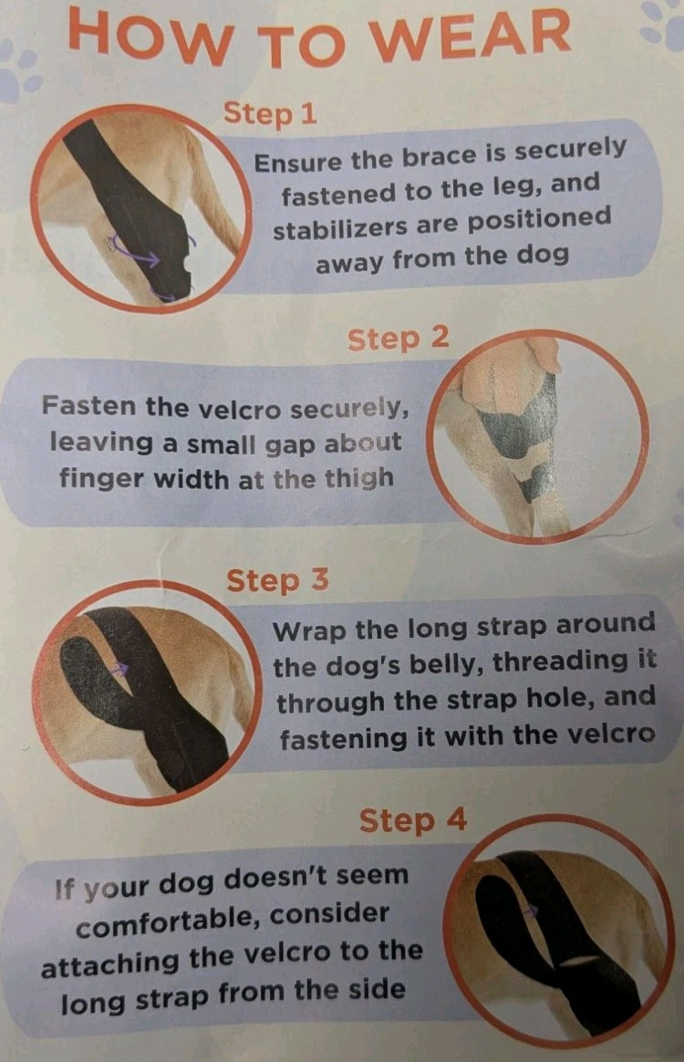 Dog Knee Brace Adjustable Neoprene Support for Front Or Hind Leg Size S NEW